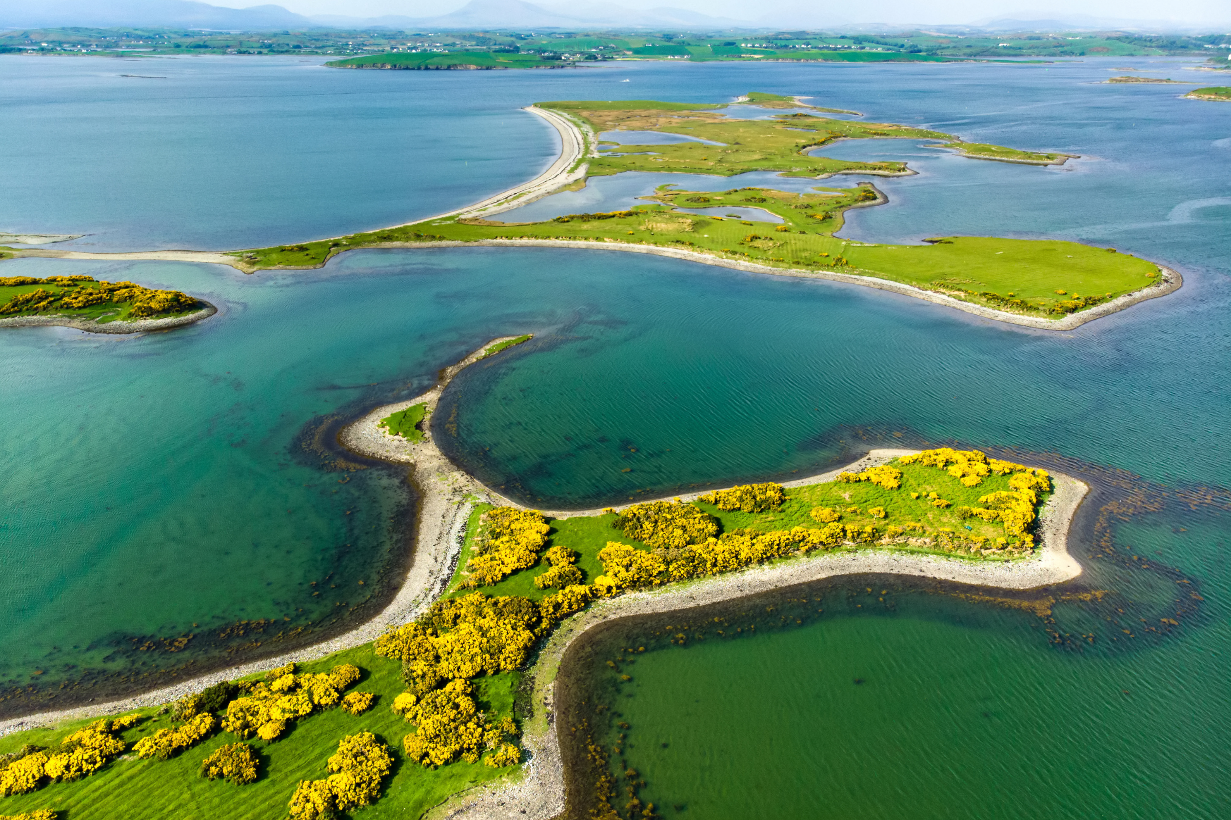 westport (2).webp